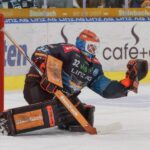 Black Wings Linz och Rasmus Tirronen går skilda vägar!