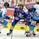 Black Wings Linz står upp mot säsongsavslutningen idag!