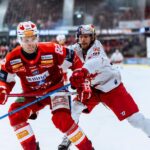 ICEHL: Allt om slutspelet
