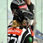 ICEHL: Så här ser domarna i slutspelet ut