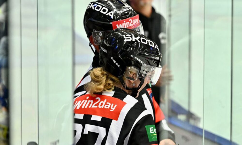 ICEHL: Så här ser domarna i slutspelet ut