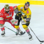 Inget nytt kontrakt: tidigare ICEHL-poängkung tillgänglig igen!