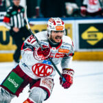 Transfermarkt: KAC:s forward Hochegger har sannolikt klargjort sin framtid