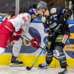 Transfermarkt: Tidigare ICEHL-back förlänger ett långsiktigt kontrakt