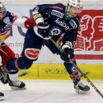 Transfermarkt: Tidigare VSV-pelare förlänger sitt arbetskontrakt!