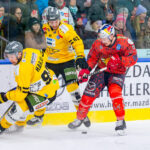 En 114-faldig ICEHL-stjärna har hittat en ny klubb