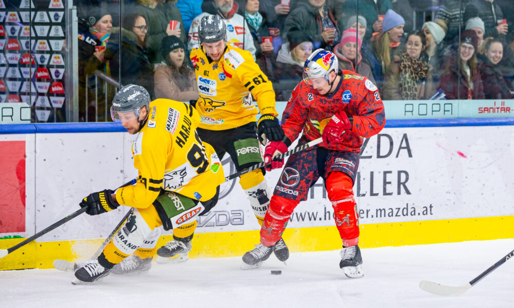 En 114-faldig ICEHL-stjärna har hittat en ny klubb
