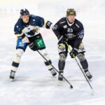 ICEHL: HCB Südtirol värvar unga talanger från Alps Hockey League