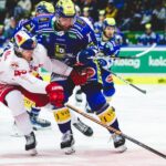Officiellt: tidigare ICEHL-back ansluter till San Jose Sharks!
