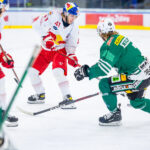 Zeller Isbjörnarna värvar offensiva backar med ICE-erfarenhet