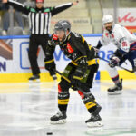 Många ICEHL-toppspelare är fortfarande tillgängliga – Del 3!