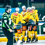 Transferkupp: Vienna Capitals värvar svensk toppspelare!