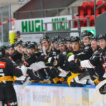 ICEHL: Är den nya huvudtränaren för Pioneers Vorarlberg redan i Vorarlberg?
