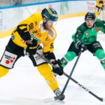 ICEHL: Ny VSV-import skadad redan!