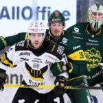 Konstantin Komarek inför Capitals hemkomst: "Jag förväntar mig en tydlig förbättring"