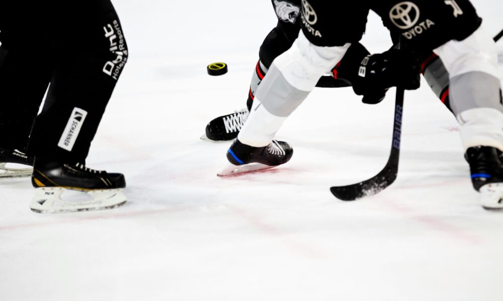 Efter rasistisk händelse: Augsburger Panthers med tydligt uttalande