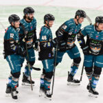 Första säsongsvinsten: Black Wings tar sig an Olimpija Ljubljana!