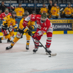 ICEHL: Ungdomsspelare gör två mål och leder Foxes till premiärsegern