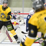 ICEHL-försäsongsmatcher: Segrar för Wien, Pustertal och Innsbruck