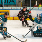 Black Wings Linz – Segersvit håller även mot Pioneers Vorarlberg