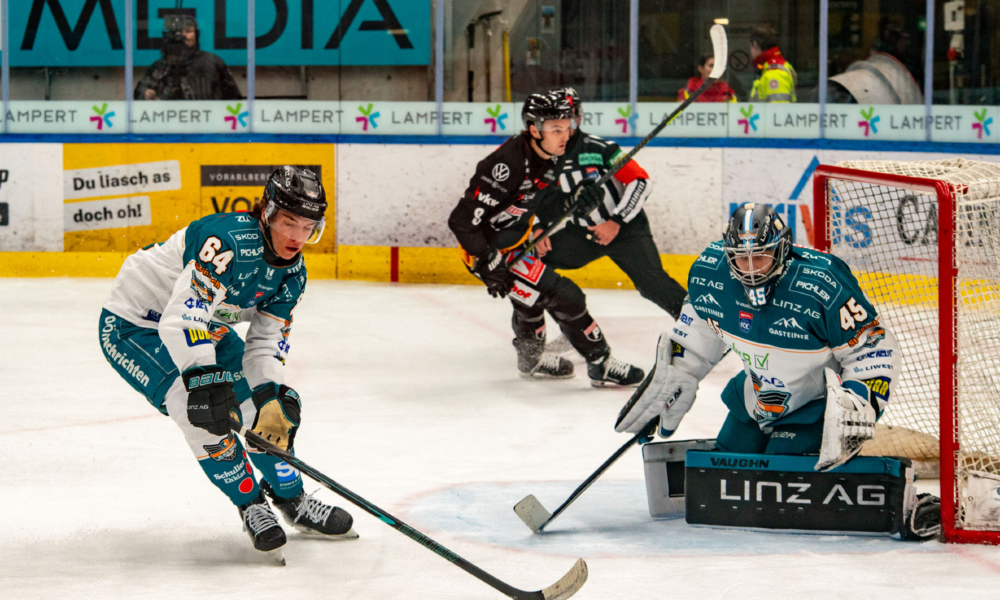 Black Wings Linz – Segersvit håller även mot Pioneers Vorarlberg