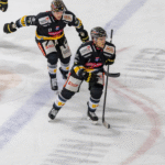 Första säsongduellen: Vienna Capitals möter Olimpija Ljubljana