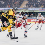 Försvararen Josh Wesely är tillbaka i ICEHL