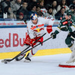 ICEHL: Hochkofler från Red Bull Salzburg når en särskild milstolpe