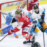 ICEHL-förhandsvisning: Toppmöte mellan Linz och Bolzano som en absolut höjdpunkt