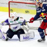 Månadsavtal: tidigare VSV-målvakt stannar i högsta ligan!
