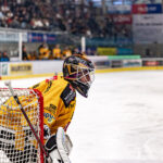 Transferkupp: ICEHL-laget värvar stjärnmålvakten till 2028